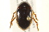  ( - BIOUG02030-A08)  @13 [ ] CreativeCommons - Attribution (2012) CBG Photography Group Centre for Biodiversity Genomics