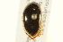  ( - BIOUG02030-B02)  @13 [ ] CreativeCommons - Attribution (2012) CBG Photography Group Centre for Biodiversity Genomics