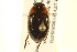  ( - BIOUG02030-B07)  @13 [ ] CreativeCommons - Attribution (2012) CBG Photography Group Centre for Biodiversity Genomics