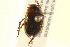  ( - BIOUG02030-B08)  @13 [ ] CreativeCommons - Attribution (2012) CBG Photography Group Centre for Biodiversity Genomics