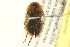  ( - BIOUG02030-C01)  @13 [ ] CreativeCommons - Attribution (2012) CBG Photography Group Centre for Biodiversity Genomics