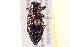  ( - BIOUG02030-H11)  @12 [ ] CreativeCommons - Attribution (2012) CBG Photography Group Centre for Biodiversity Genomics