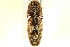  ( - BIOUG02032-C07)  @12 [ ] CreativeCommons - Attribution (2012) CBG Photography Group Centre for Biodiversity Genomics