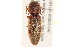  ( - BIOUG02032-F05)  @14 [ ] CreativeCommons - Attribution (2012) CBG Photography Group Centre for Biodiversity Genomics