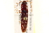  ( - BIOUG02032-G01)  @13 [ ] CreativeCommons - Attribution (2012) CBG Photography Group Centre for Biodiversity Genomics
