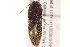  ( - BIOUG02032-G11)  @15 [ ] CreativeCommons - Attribution (2012) CBG Photography Group Centre for Biodiversity Genomics