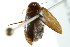  ( - BIOUG02013-E04)  @12 [ ] CreativeCommons - Attribution (2012) CBG Photography Group Centre for Biodiversity Genomics