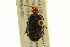  ( - BIOUG02012-C04)  @13 [ ] CreativeCommons - Attribution (2012) CBG Photography Group Centre for Biodiversity Genomics