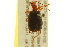  ( - BIOUG02012-D09)  @14 [ ] CreativeCommons - Attribution (2012) CBG Photography Group Centre for Biodiversity Genomics