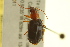  ( - BIOUG02012-E07)  @12 [ ] CreativeCommons - Attribution (2012) CBG Photography Group Centre for Biodiversity Genomics