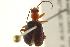  ( - BIOUG02012-E12)  @13 [ ] CreativeCommons - Attribution (2012) CBG Photography Group Centre for Biodiversity Genomics