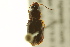  ( - BIOUG02014-B09)  @14 [ ] CreativeCommons - Attribution (2012) CBG Photography Group Centre for Biodiversity Genomics