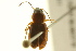  ( - BIOUG02014-C04)  @13 [ ] CreativeCommons - Attribution (2012) CBG Photography Group Centre for Biodiversity Genomics