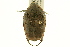  ( - BIOUG02023-D02)  @13 [ ] CreativeCommons - Attribution (2012) CBG Photography Group Centre for Biodiversity Genomics