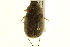  ( - BIOUG02025-B05)  @13 [ ] CreativeCommons - Attribution (2012) CBG Photography Group Centre for Biodiversity Genomics