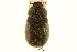  ( - BIOUG02025-B07)  @13 [ ] CreativeCommons - Attribution (2012) CBG Photography Group Centre for Biodiversity Genomics