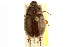  ( - BIOUG02025-F02)  @14 [ ] CreativeCommons - Attribution (2012) CBG Photography Group Centre for Biodiversity Genomics