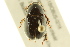  ( - BIOUG02026-G01)  @13 [ ] CreativeCommons - Attribution (2012) CBG Photography Group Centre for Biodiversity Genomics