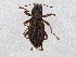  ( - BIOUG02273-H03)  @13 [ ] CreativeCommons - Attribution (2012) CBG Photography Group Centre for Biodiversity Genomics