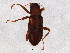  ( - BIOUG02274-F06)  @13 [ ] CreativeCommons - Attribution (2012) CBG Photography Group Centre for Biodiversity Genomics