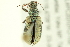 ( - 10PCCOL-0989)  @13 [ ] CreativeCommons - Attribution (2010) CBG Photography Group Centre for Biodiversity Genomics