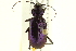  ( - 10PCCOL-1127)  @14 [ ] CreativeCommons - Attribution (2010) CBG Photography Group Centre for Biodiversity Genomics