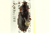  ( - 10PCCOL-1179)  @14 [ ] CreativeCommons - Attribution (2010) CBG Photography Group Centre for Biodiversity Genomics