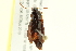  ( - 10PCCOL-1180)  @14 [ ] CreativeCommons - Attribution (2010) CBG Photography Group Centre for Biodiversity Genomics