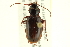  ( - 10PCCOL-1262)  @13 [ ] CreativeCommons - Attribution (2010) CBG Photography Group Centre for Biodiversity Genomics