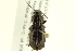  ( - 10PCCOL-1266)  @13 [ ] CreativeCommons - Attribution (2010) CBG Photography Group Centre for Biodiversity Genomics