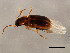  ( - BIOUG00669-A06)  @13 [ ] CreativeCommons - Attribution (2010) CBG Photography Group Centre for Biodiversity Genomics