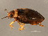  ( - BIOUG00669-E05)  @13 [ ] CreativeCommons - Attribution (2010) CBG Photography Group Centre for Biodiversity Genomics