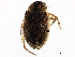  ( - BIOUG00670-F11)  @13 [ ] CreativeCommons - Attribution (2011) CBG Photography Group Centre for Biodiversity Genomics