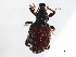  ( - BIOUG00670-G02)  @11 [ ] CreativeCommons - Attribution (2011) CBG Photography Group Centre for Biodiversity Genomics