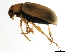  ( - BIOUG00671-C01)  @14 [ ] CreativeCommons - Attribution (2011) CBG Photography Group Centre for Biodiversity Genomics