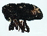  ( - BIOUG00671-E05)  @12 [ ] CreativeCommons - Attribution (2011) CBG Photography Group Centre for Biodiversity Genomics