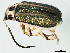  ( - BIOUG00671-G10)  @13 [ ] CreativeCommons - Attribution (2011) CBG Photography Group Centre for Biodiversity Genomics