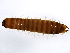  ( - BIOUG00676-B12)  @12 [ ] CreativeCommons - Attribution (2011) CBG Photography Group Centre for Biodiversity Genomics