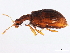  ( - 10PCCOL-0092)  @14 [ ] CreativeCommons - Attribution (2010) CBG Photography Group Centre for Biodiversity Genomics