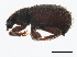  ( - 10PCCOL-0180)  @12 [ ] CreativeCommons - Attribution (2010) CBG Photography Group Centre for Biodiversity Genomics