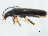 ( - 10PCCOL-0185)  @13 [ ] CreativeCommons - Attribution (2010) CBG Photography Group Centre for Biodiversity Genomics