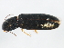  ( - 10PCCOL-0219)  @14 [ ] CreativeCommons - Attribution (2010) CBG Photography Group Centre for Biodiversity Genomics