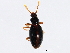  ( - 10PCCOL-0357)  @13 [ ] CreativeCommons - Attribution (2010) CBG Photography Group Centre for Biodiversity Genomics