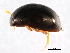  ( - 10PCCOL-0405)  @13 [ ] CreativeCommons - Attribution (2010) CBG Photography Group Centre for Biodiversity Genomics