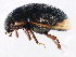  ( - 10PCCOL-0414)  @13 [ ] CreativeCommons - Attribution (2010) CBG Photography Group Centre for Biodiversity Genomics