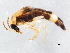  ( - 10PCCOL-0492)  @13 [ ] CreativeCommons - Attribution (2010) CBG Photography Group Centre for Biodiversity Genomics