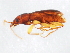  ( - 10PCCOL-0514)  @14 [ ] CreativeCommons - Attribution (2010) CBG Photography Group Centre for Biodiversity Genomics