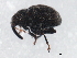  ( - 10PCCOL-0537)  @13 [ ] CreativeCommons - Attribution (2010) CBG Photography Group Centre for Biodiversity Genomics