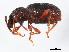  ( - 10PCCOL-0007)  @13 [ ] CreativeCommons - Attribution (2010) CBG Photography Group Centre for Biodiversity Genomics