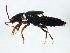  ( - 10PCCOL-0046)  @13 [ ] CreativeCommons - Attribution (2010) CBG Photography Group Centre for Biodiversity Genomics